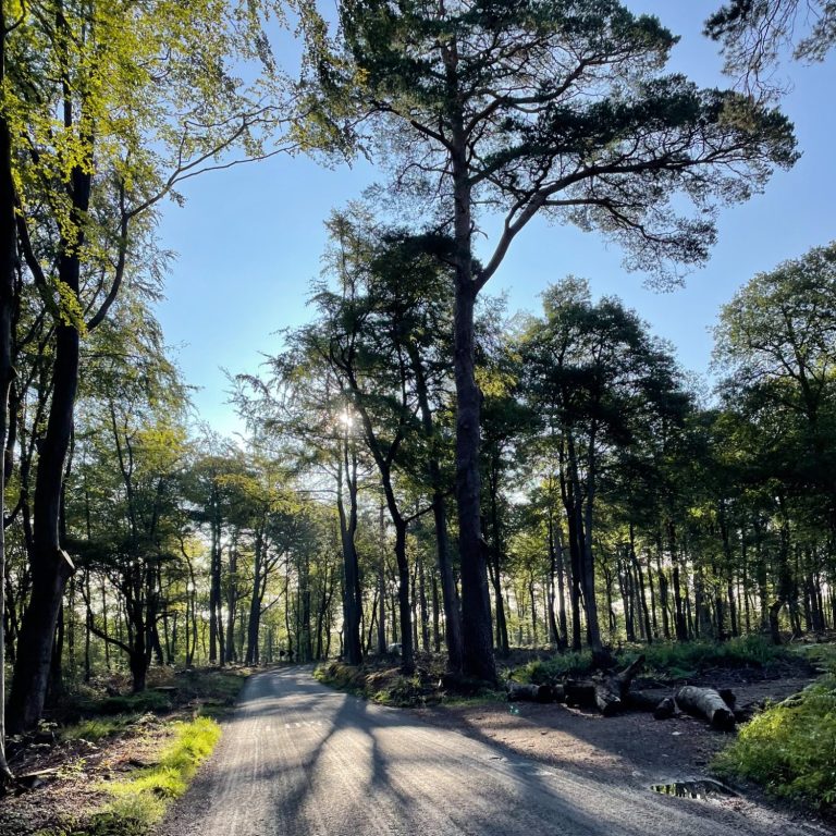 Leith Hill Leith Hill