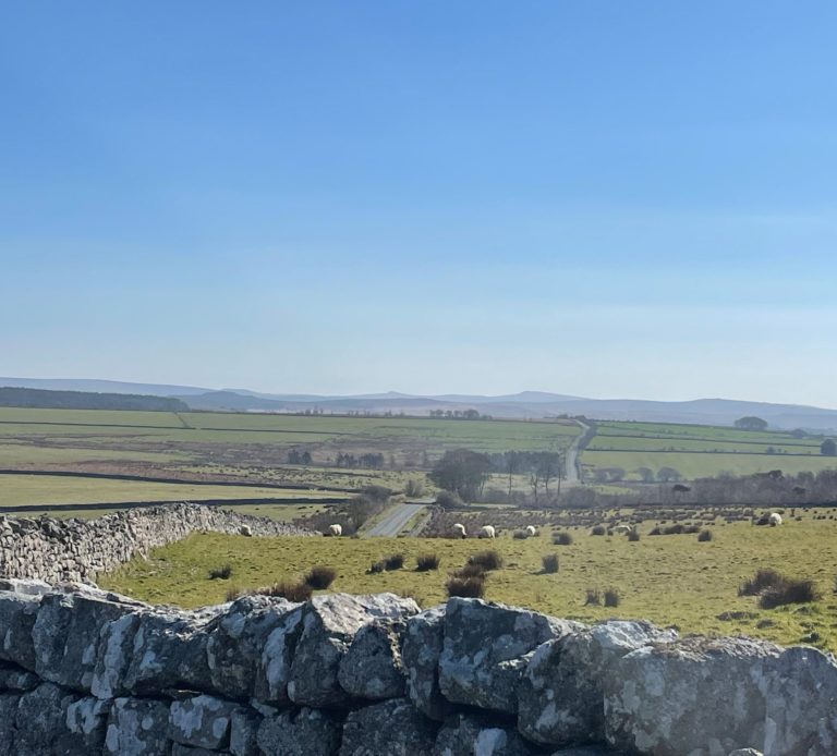 Dartmoor Dartmoor