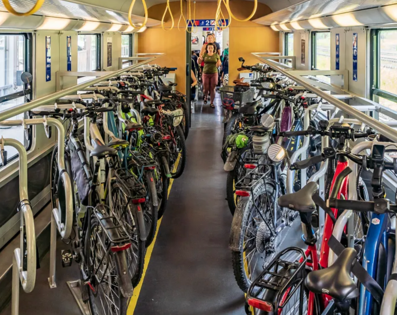 Bikes hung up in train